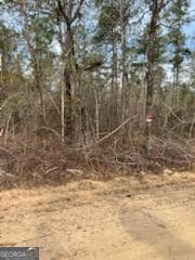 0 Busby Rd unit 10479601, Statesboro, GA 30458 - photo 3