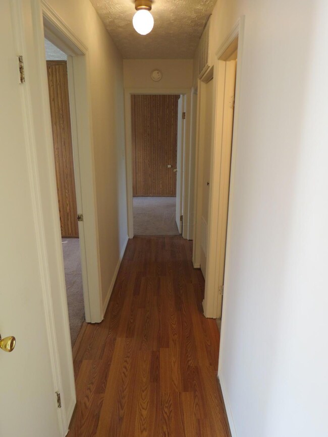 156 evergreen (14)