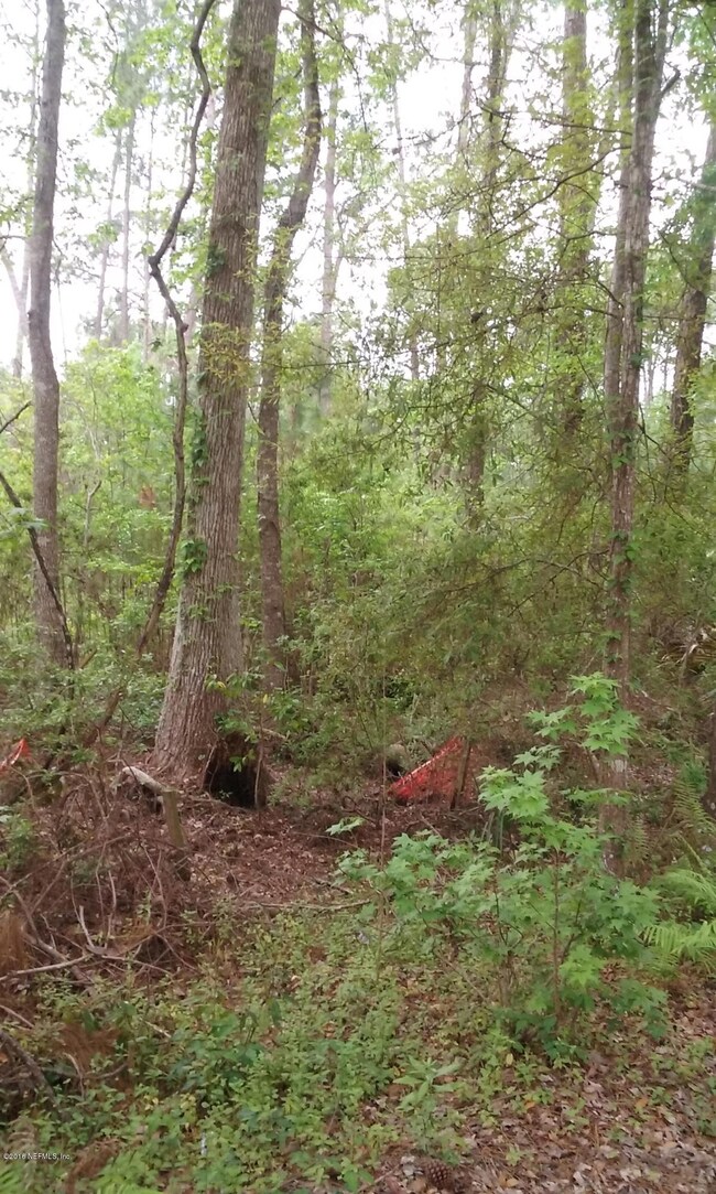 0 Calais St unit 821384, Jacksonville, FL 32224 - photo 7