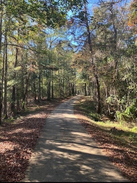 24260 Nick Jenkins Rd, Bush, LA 70431 - photo 5