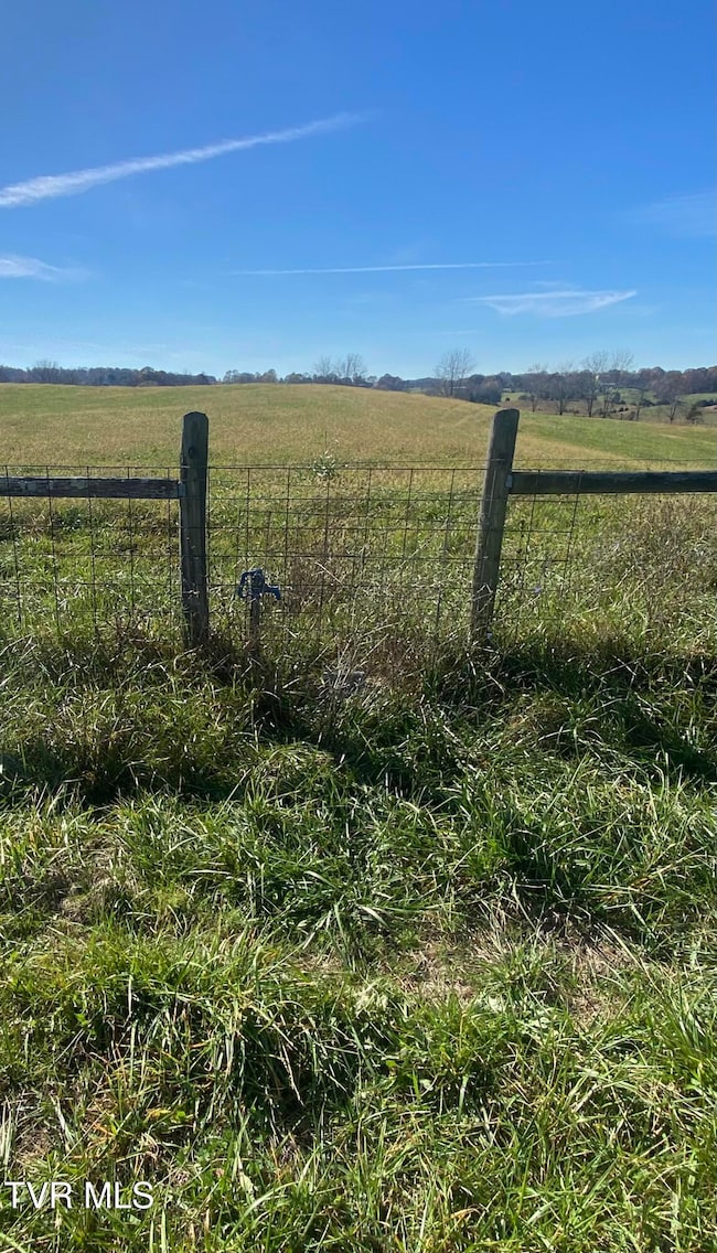 689 Painter Rd, Fall Branch, TN 37656 - photo 3