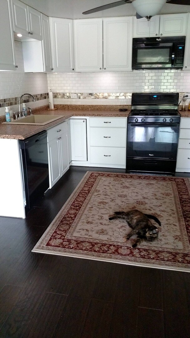 18230 Anthony Ave, Country Club Hills, IL 60478 - photo 7