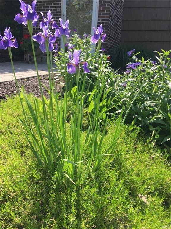 Perennial garden surrounding the front entrance.