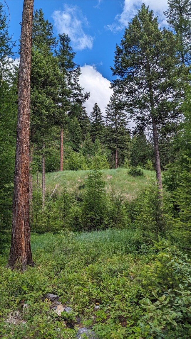 7 High Meadow Loop, Whitefish, MT 59937 - photo 6