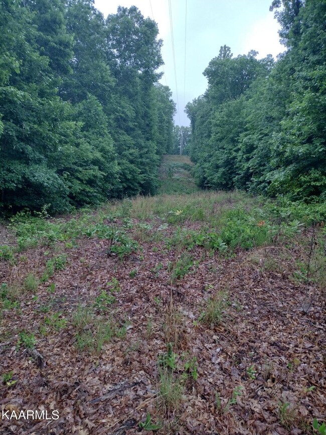 IMG_20220606_175042768_HDR