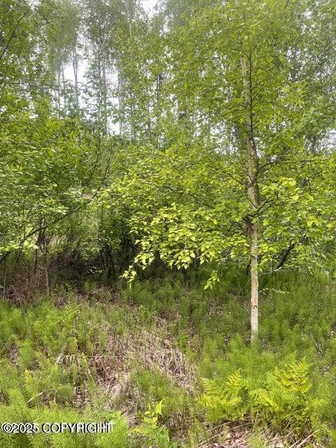 L22 W Call of The Wild Cir, Big Lake, AK 99654 - photo 5