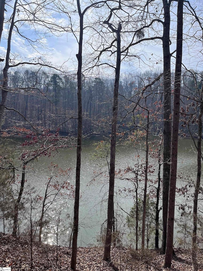 0 Lakeview Dr unit 1519656, Fair Play, SC 29643 - photo 7