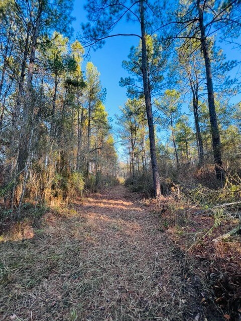 TBD Dinan Salem Rd, Tylertown, MS 39667 - photo 5