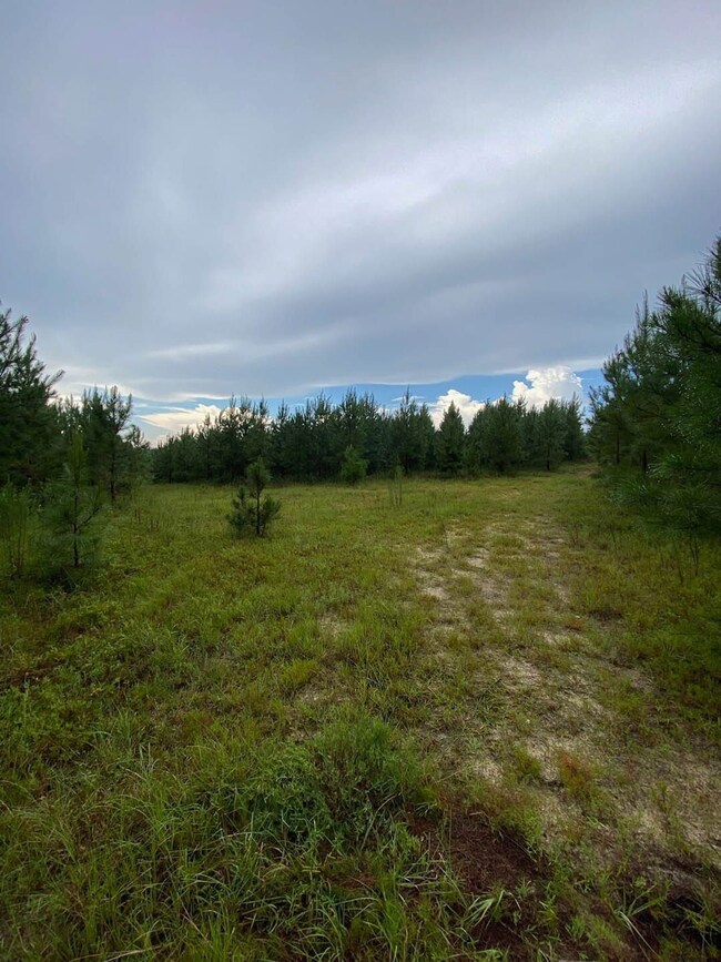 0 Highway 242 unit 24270248, Bartow, GA 30413 - photo 4