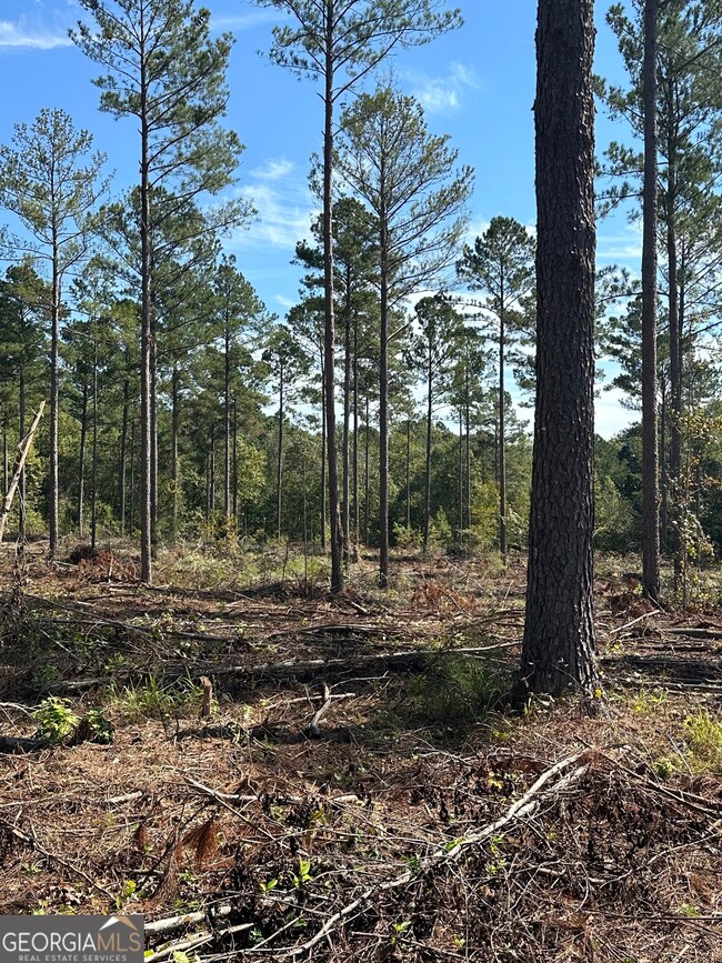 0 Seven Islands Rd unit 10593138, Madison, GA 30650 - photo 6