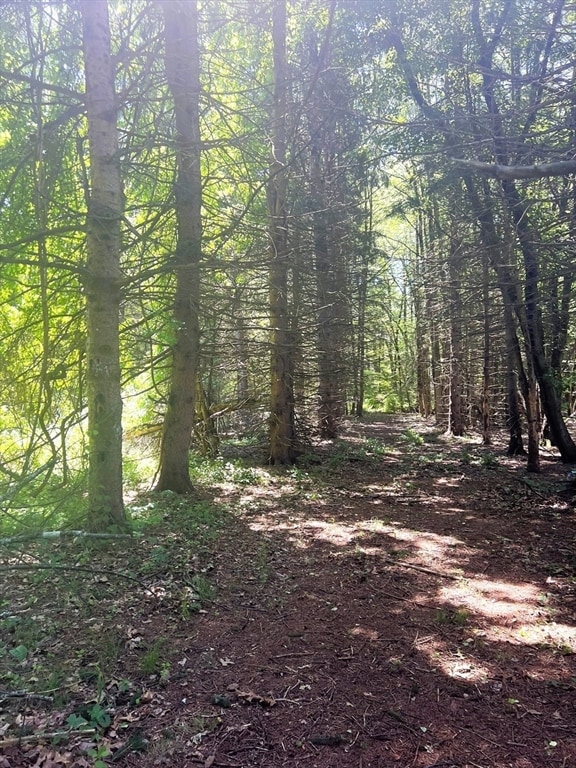 41 Amesbury Rd, Newton, NH 03858 - photo 3