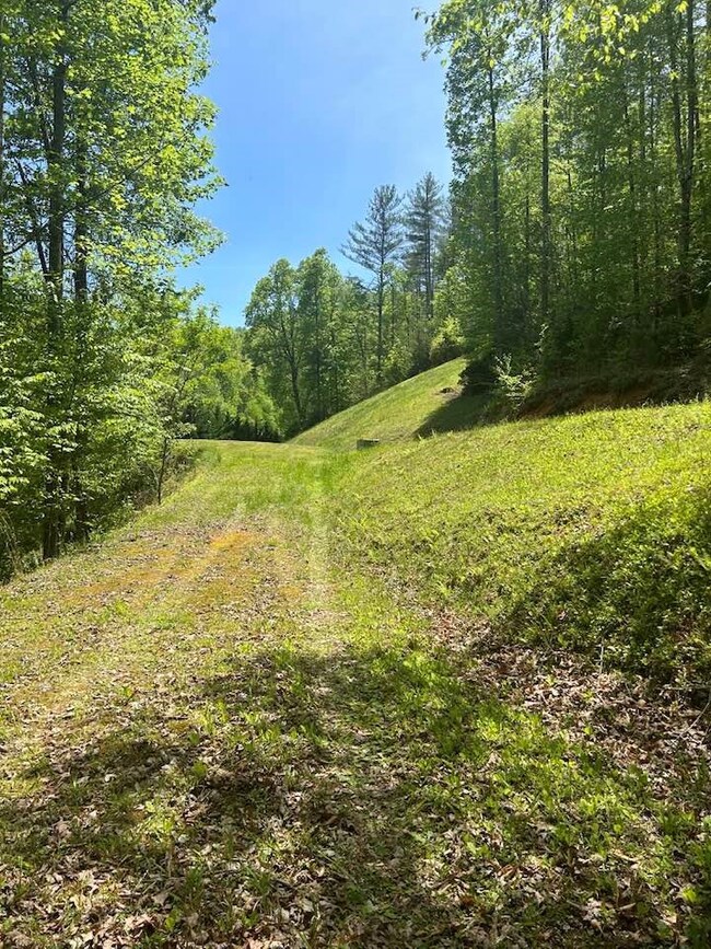 Larger house site