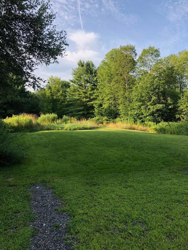 Back lawn before fence install