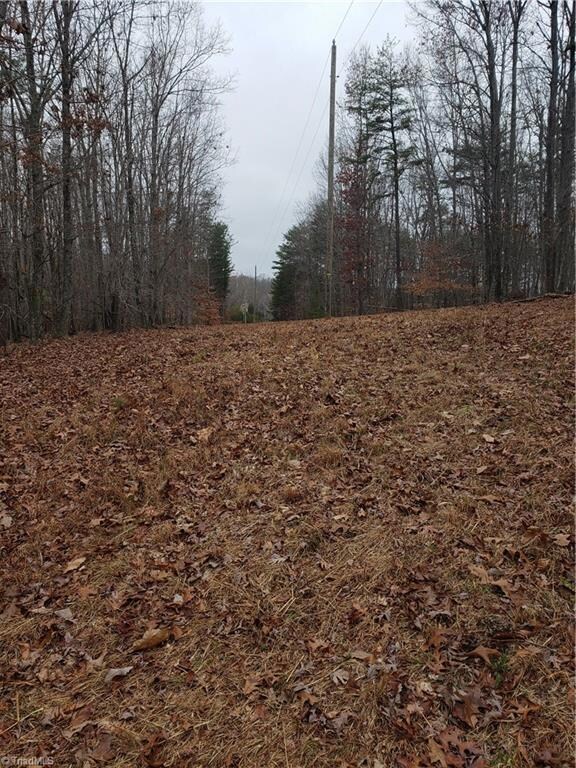 00 Stephens Trail Rd, Sandyridge, NC 27046 - photo 6