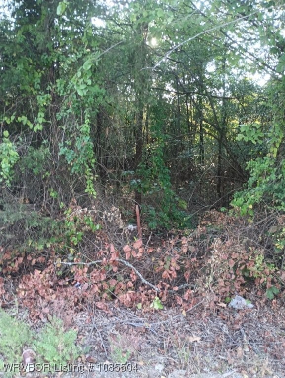 Tract 14 Lakeview Dr, Spiro, OK 74959 - photo 5