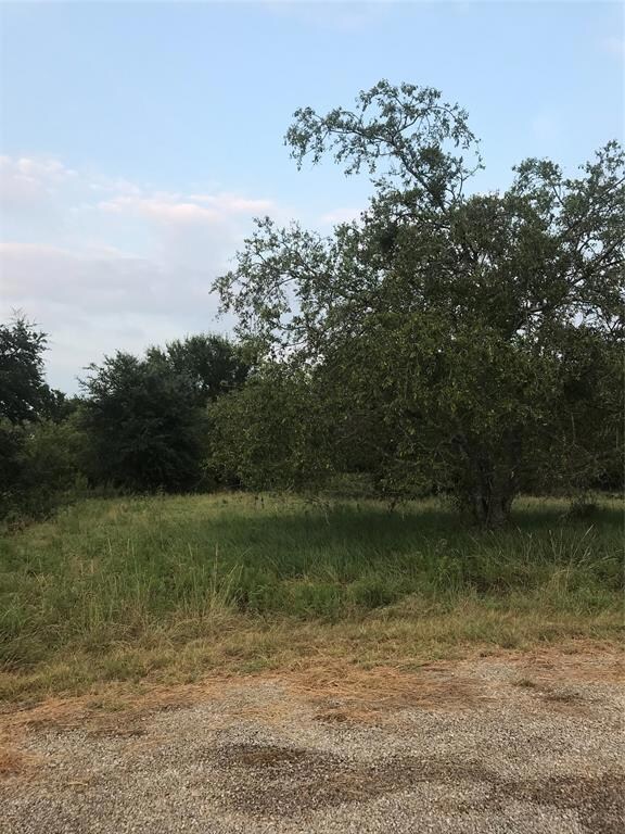 14063 Sandy Oaks Ct, Whitney, TX 76692 - photo 2