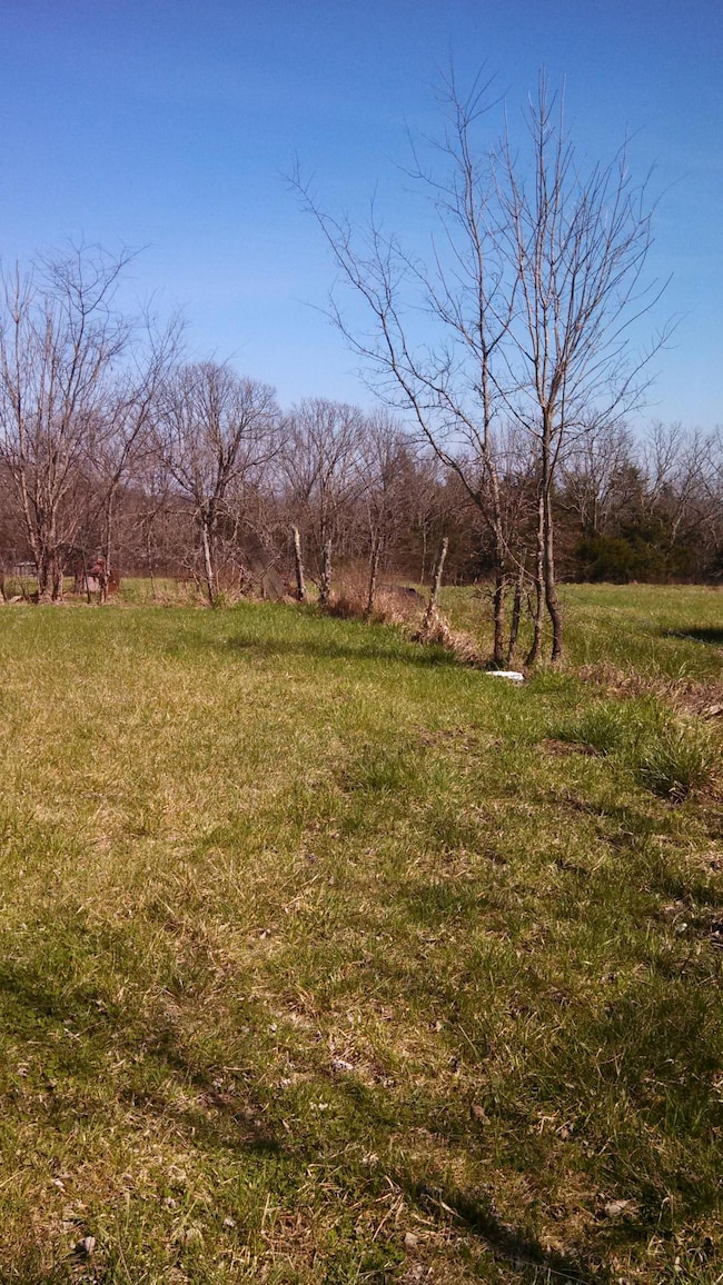 Beautiful Meadows