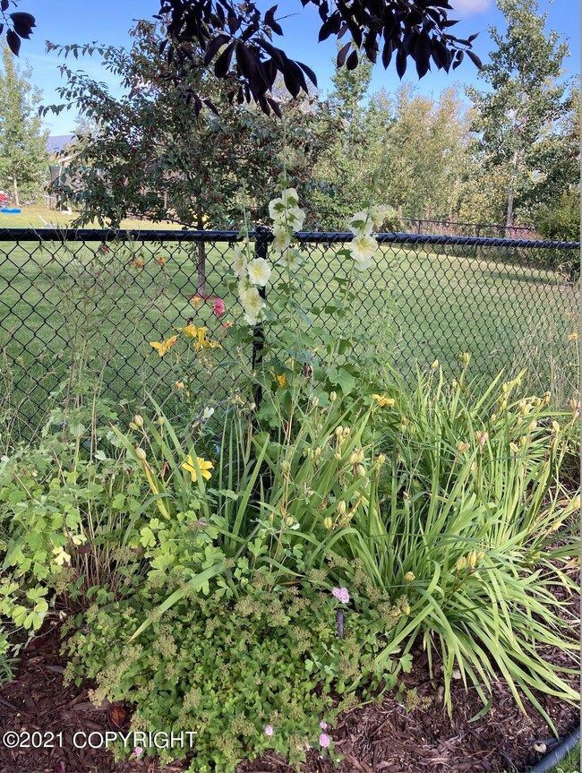 Flower beds