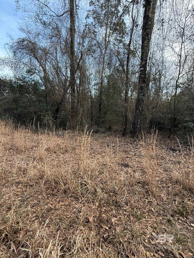 0 Harmon Williams Rd unit 374119, Mobile, AL 36608 - photo 2