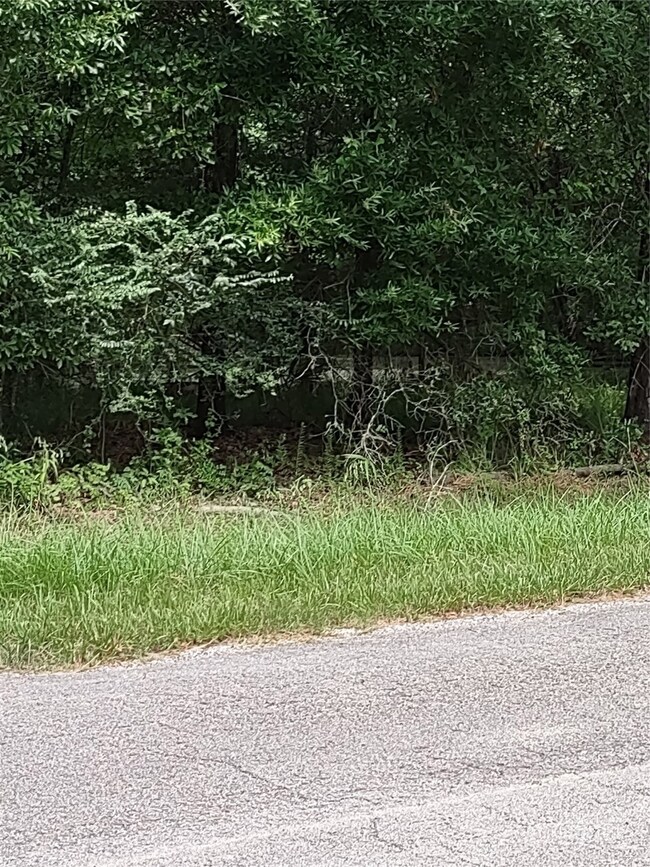 26721 Apache Trail, Magnolia, TX 77354 - photo 6