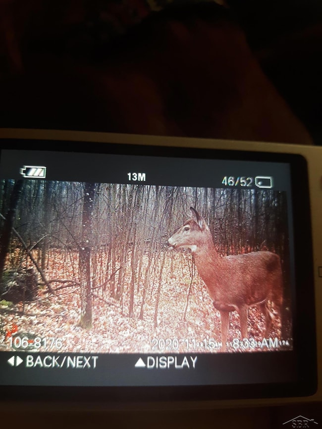 VL Camp Domino Trail, Hillman, MI 49746 - photo 3
