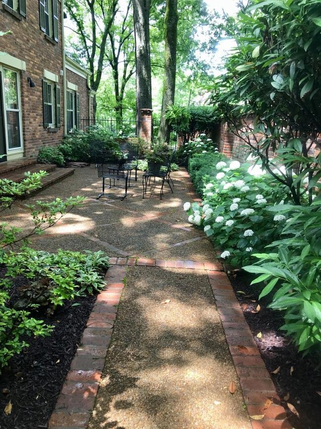 Lovely patio off of den