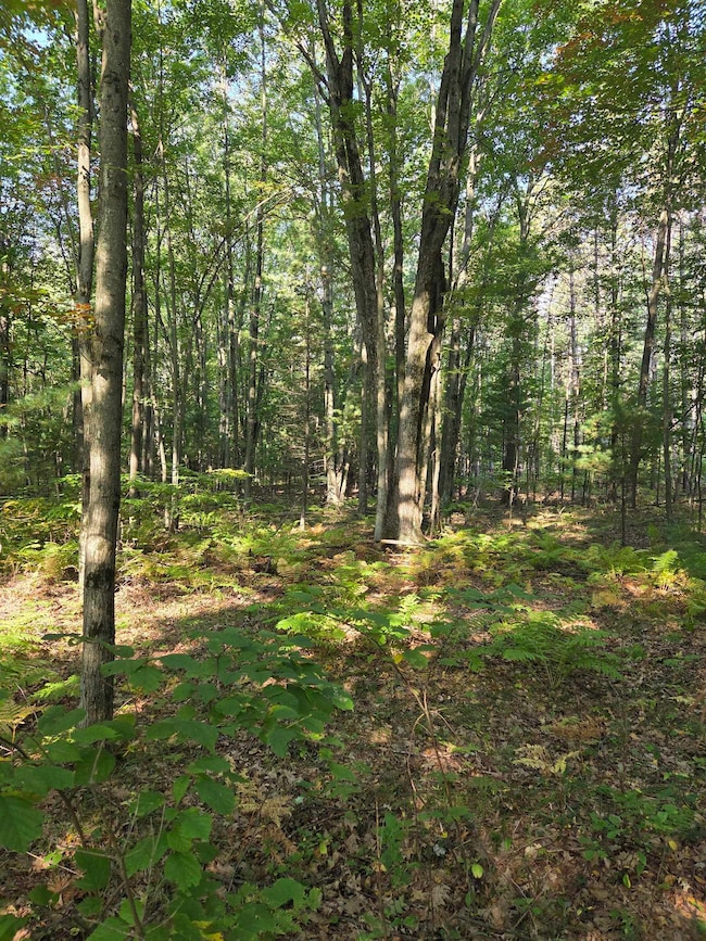 0 Hale Rd unit 50315282, Peshtigo, WI 54157 - photo 7