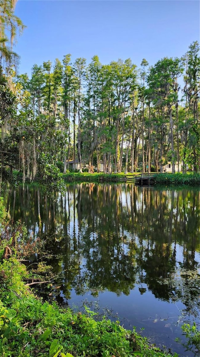 19018 Geraci Rd, Lutz, FL 33548 - photo 6