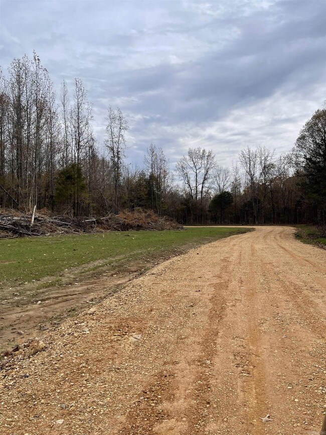 9.57 Acres Greene Road 756, Paragould, AR 72450 - photo 5