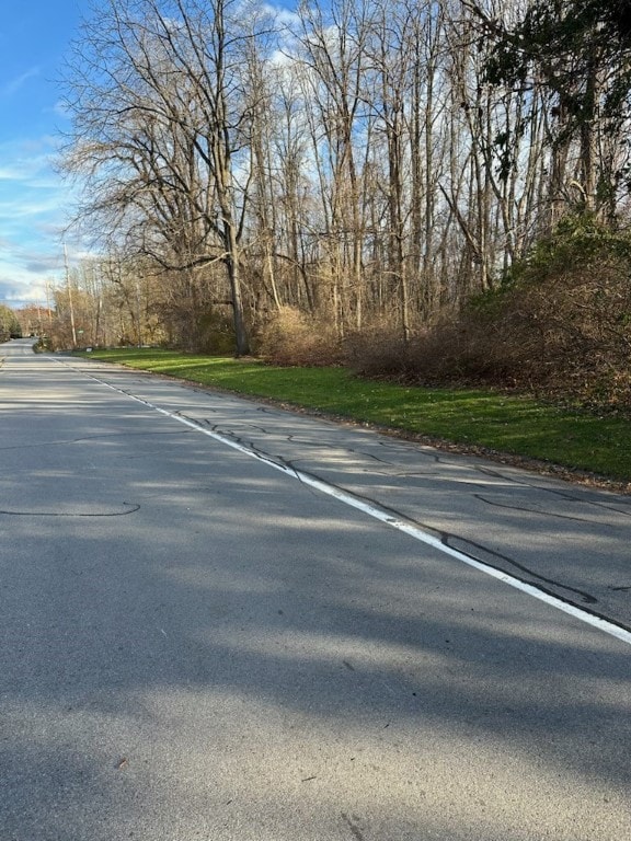 Lot #30 Maple Dr, Webster, NY 14580 - photo 7