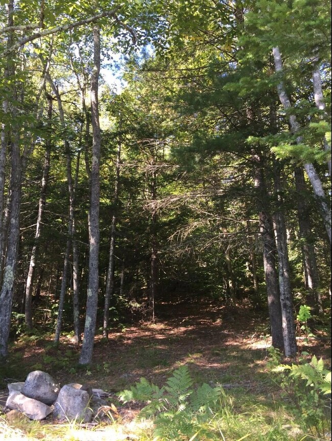 Campground Rd. #2