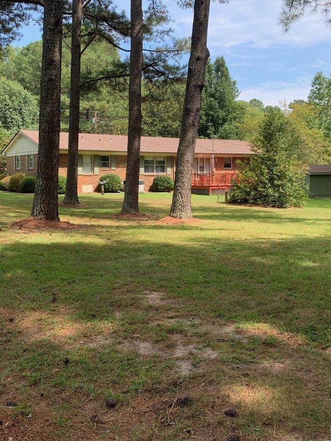 View of the Backyard
