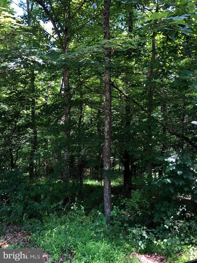 0 Virginia Line Rd unit WVMO115566, Berkeley Springs, WV 25411 - photo 3