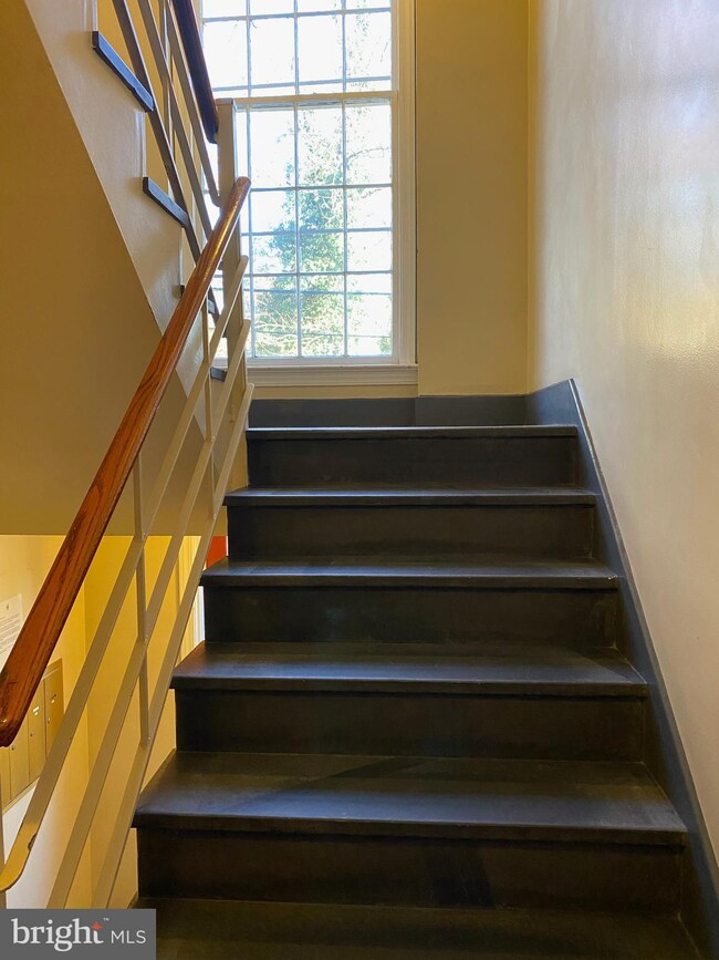3310 27th St NW unit 4, Washington, DC 20008 - photo 3