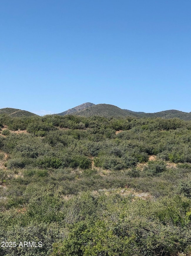 10424 E Prescott Dells Rd unit 21, Dewey-Humboldt, AZ 86327 - photo 4