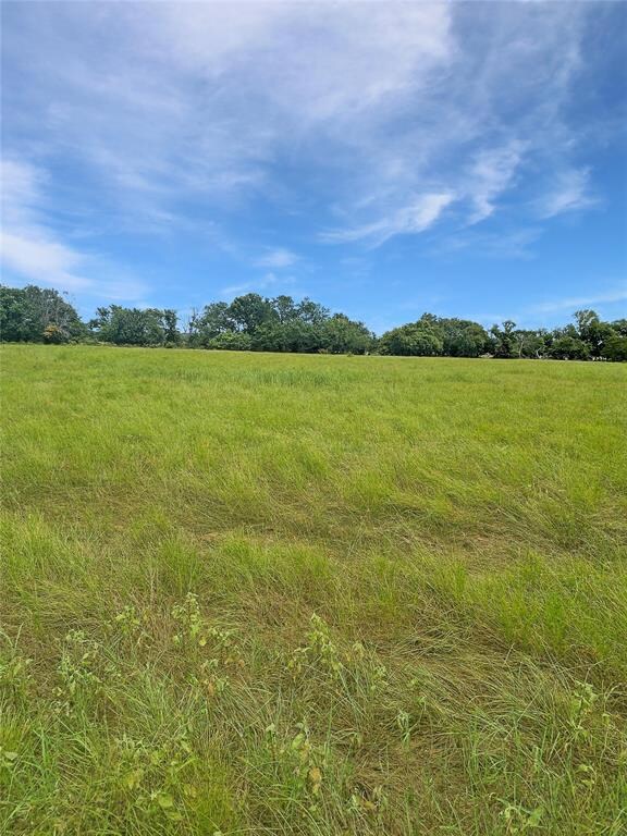 View of nature with rural landscape