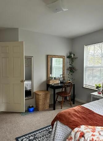 241 Kentucky Ave unit B, Lexington, KY 40502 - photo 3