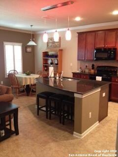 10607 Clover Canyon, Helotes, TX 78023 - photo 5