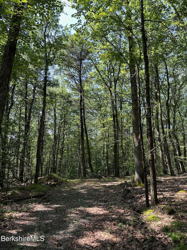 0 Cronk Rd, Sandisfield, MA 01255 - photo 2