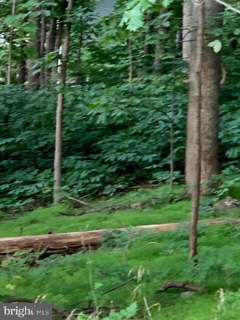 0 Wilderness Rd unit VAWR137604, Linden, VA 22642 - photo 4