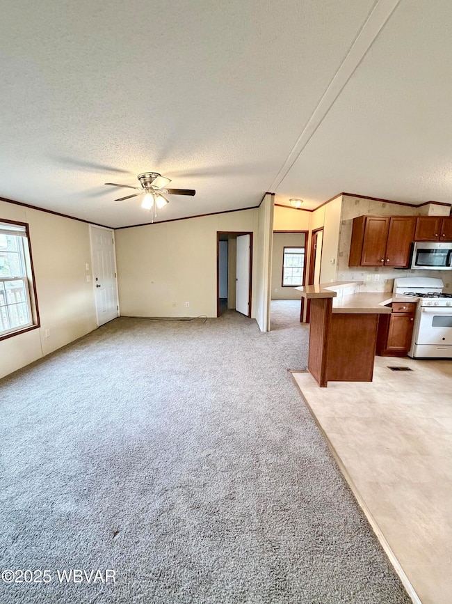 living room and kitchen