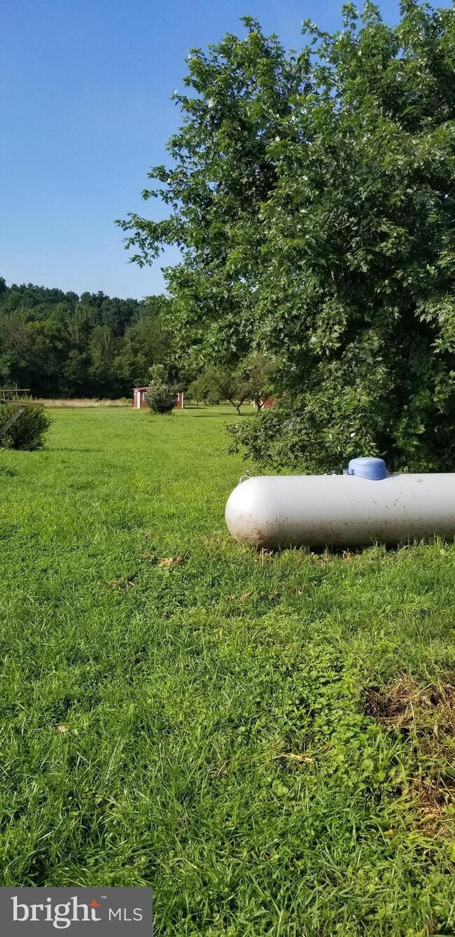 336 Hammond St, Great Cacapon, WV 25422 - photo 6