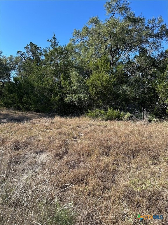 1215 Powder Ridge, New Braunfels, TX 78132 - photo 2