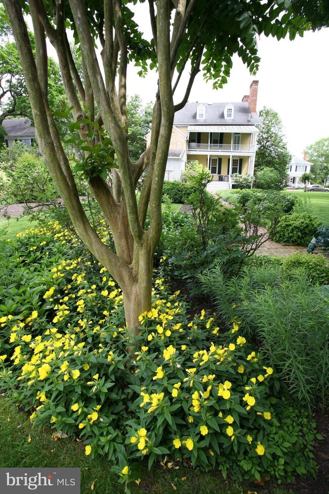 202 S Liberty St, Centreville, MD 21617 - photo 5