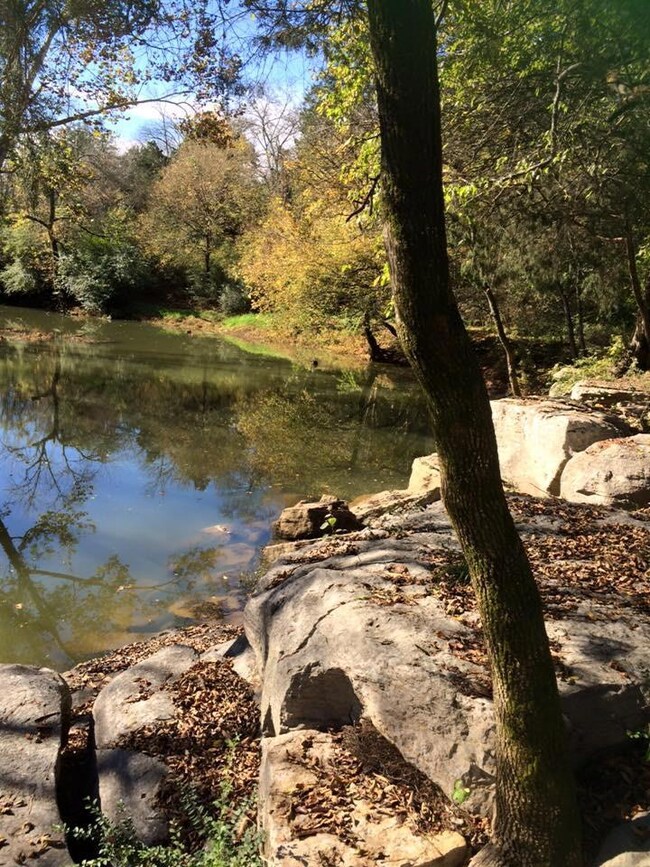 2445 Verona Caney Rd, Lewisburg, TN 37091 - photo 2