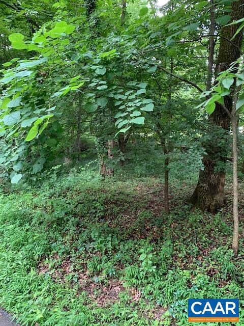 0 Chapel Hill Rd unit 591717, Charlottesville, VA 22901 - photo 2