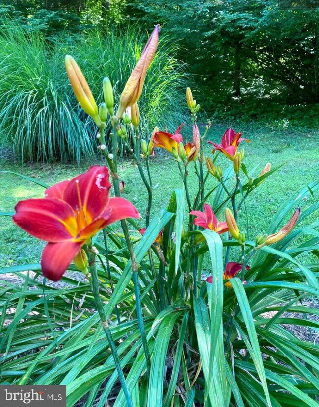 24120 Hollywood Rd, Hollywood, MD 20636 - photo 7