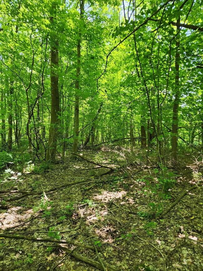 0 Co Road 800 unit 199206, Milan, IN 47031 - photo 5