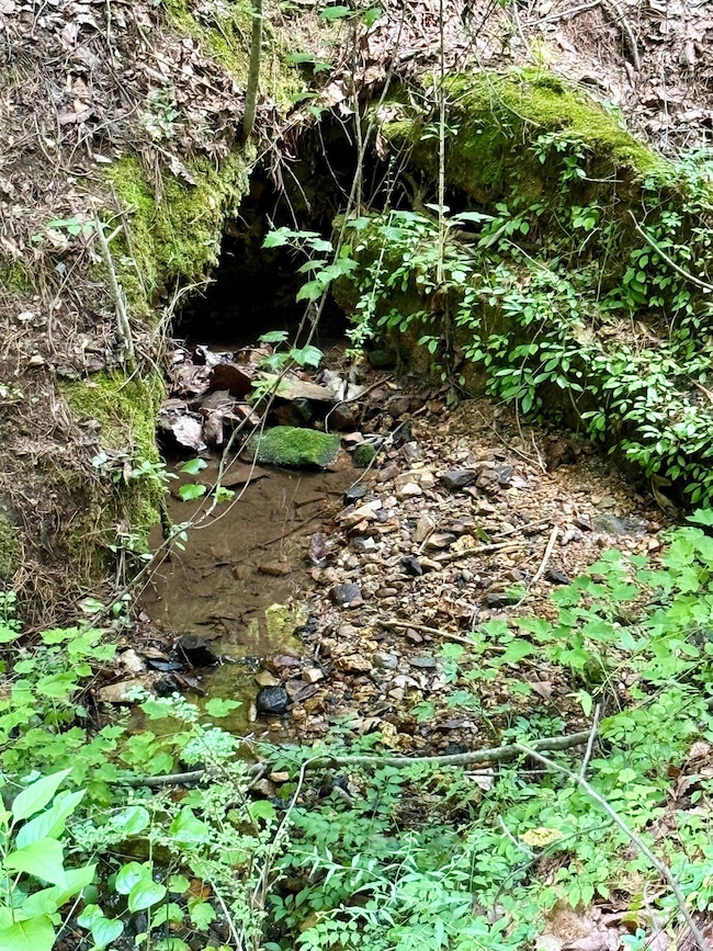 Short Rd, Alpine, AL 35014 - photo 3