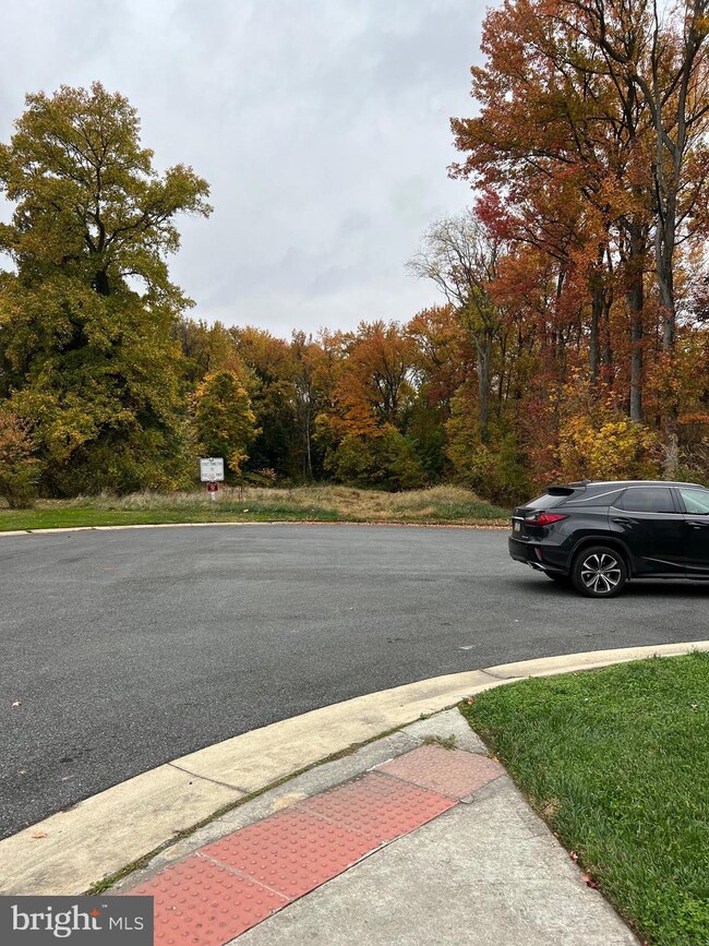 527 Winston Ave, Wilmington, DE 19804 - photo 4